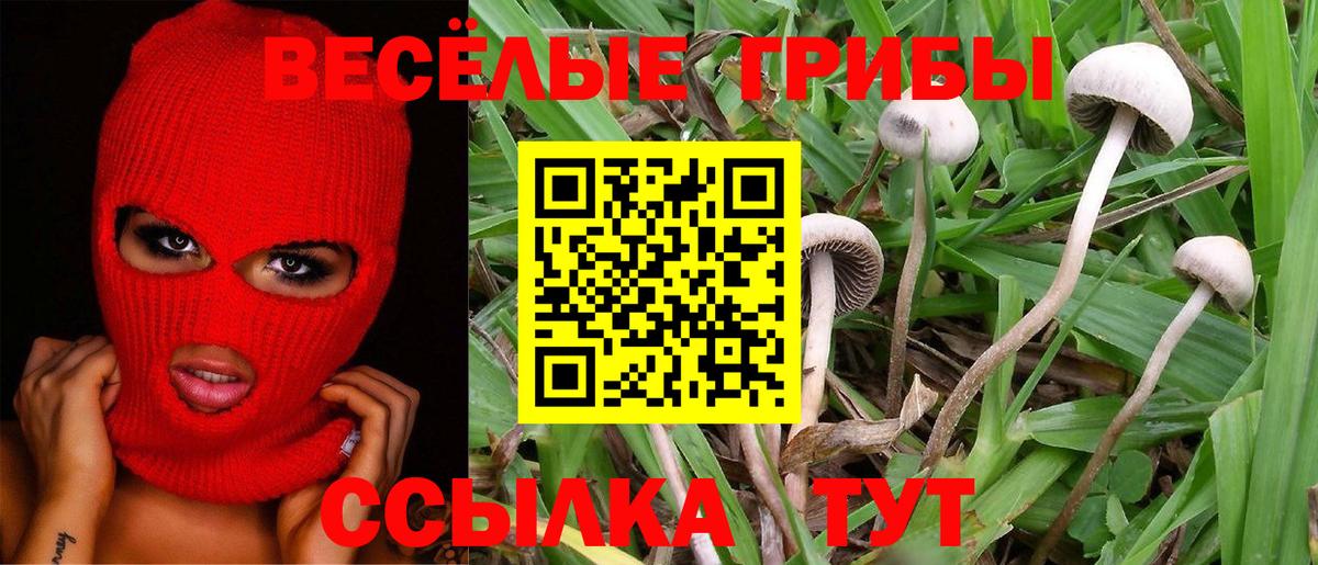 Псилоцибиновые грибы GOLDEN TEACHER  Вход с VPN  Черногорск 